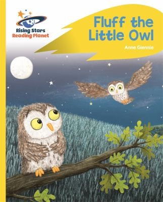Front Cover Of Fluff The Little Owl