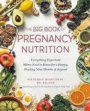 Big Book of Pregnancy Nutrition TPB