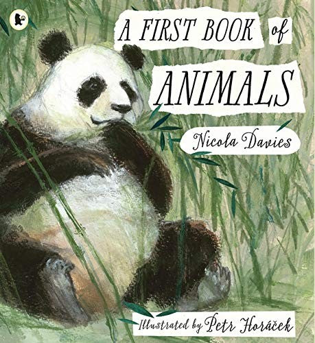 Front Cover Of A First Book Of Animals