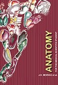 Anatomy for the medical scientific student 2/e