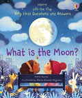 LTF Very 1st Q&A: What is the Moon HB