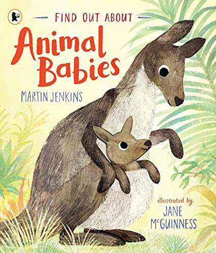 Front Cover Of Find Out About-Animal Babies Pb